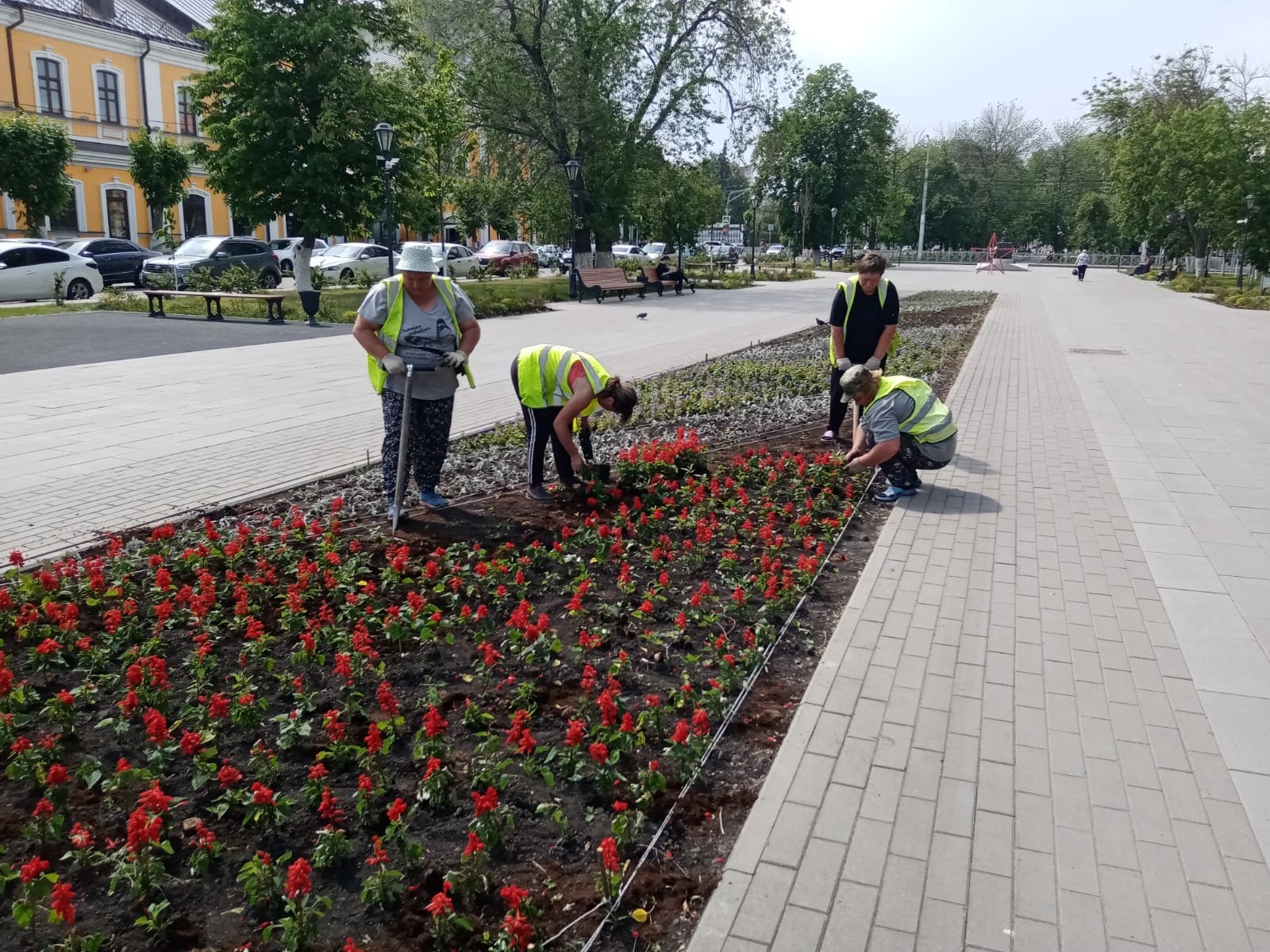 Посадка и полив цветника на бульваре Пушкина