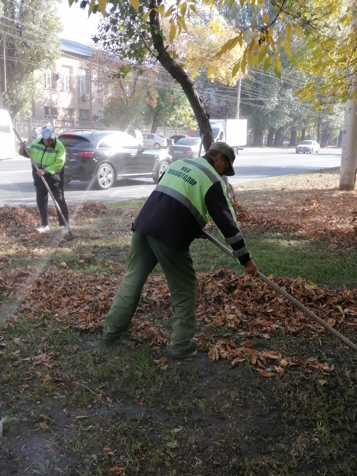 Сотрудниками МБУ «Пензавтодор» в рамках муниципального задания ежедневно проводятся работы по уборке листвы и прочесыванию газона по ул. Луначарского.
