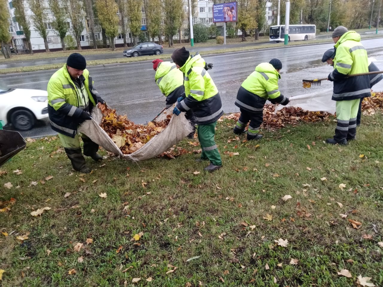 Очистка газонов от опавших листьев по ул. Терновского, 8 Марта, Захарова