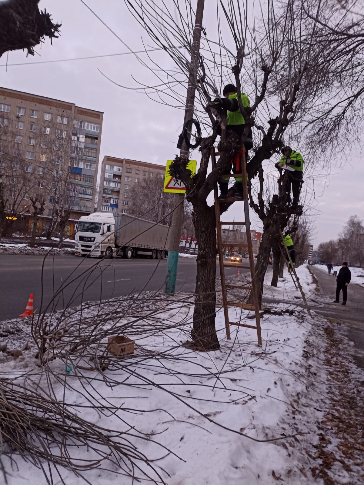 Кронирование деревьев по ул.Минская
