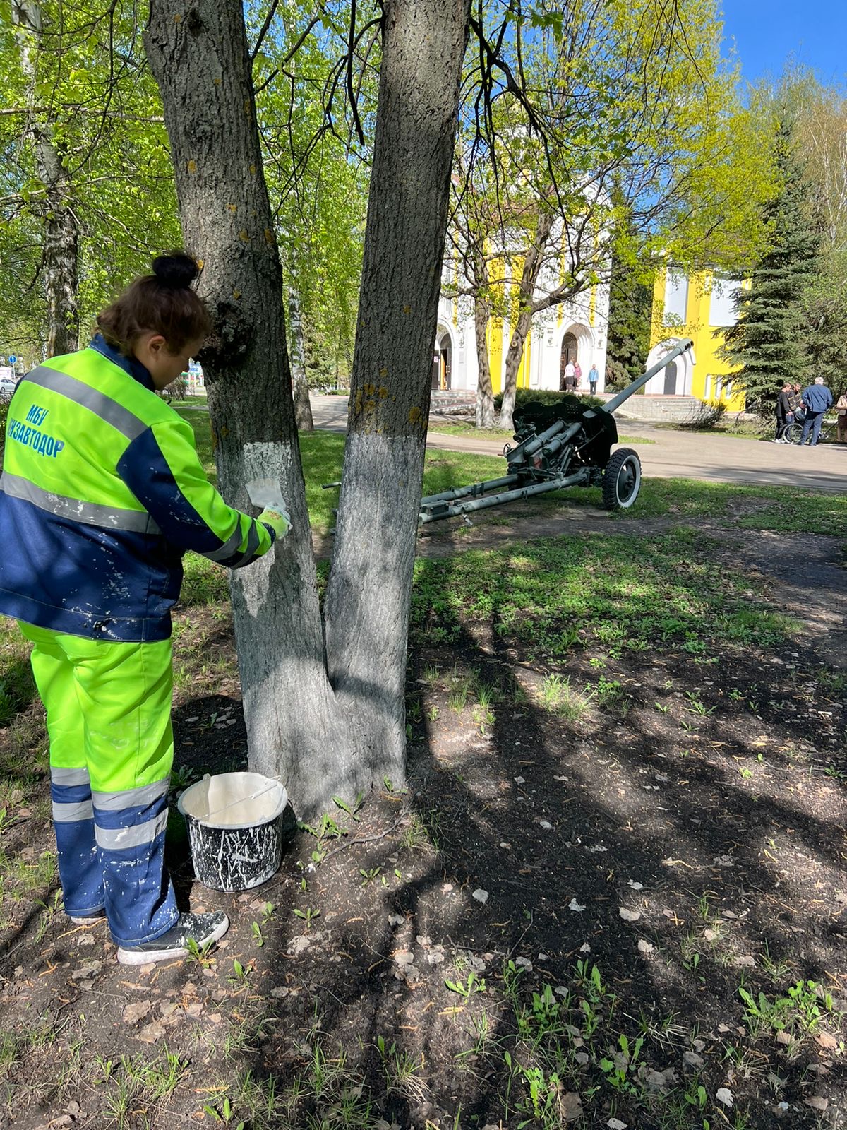 Покраска стволов деревьев по ул. Кирова и в сквере Пионерский