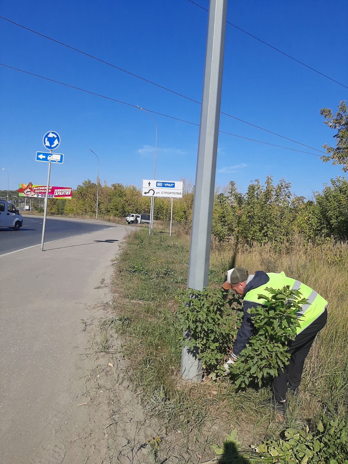 Вырезка поросли ул. Островная