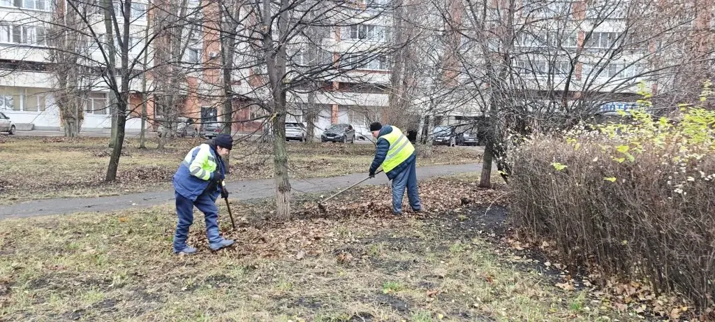 Уборка листвы в сквере 8 Марта