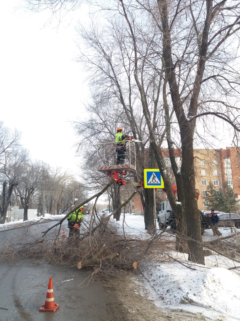 Освобождение знаков ПДД по ул. Литвинова,17