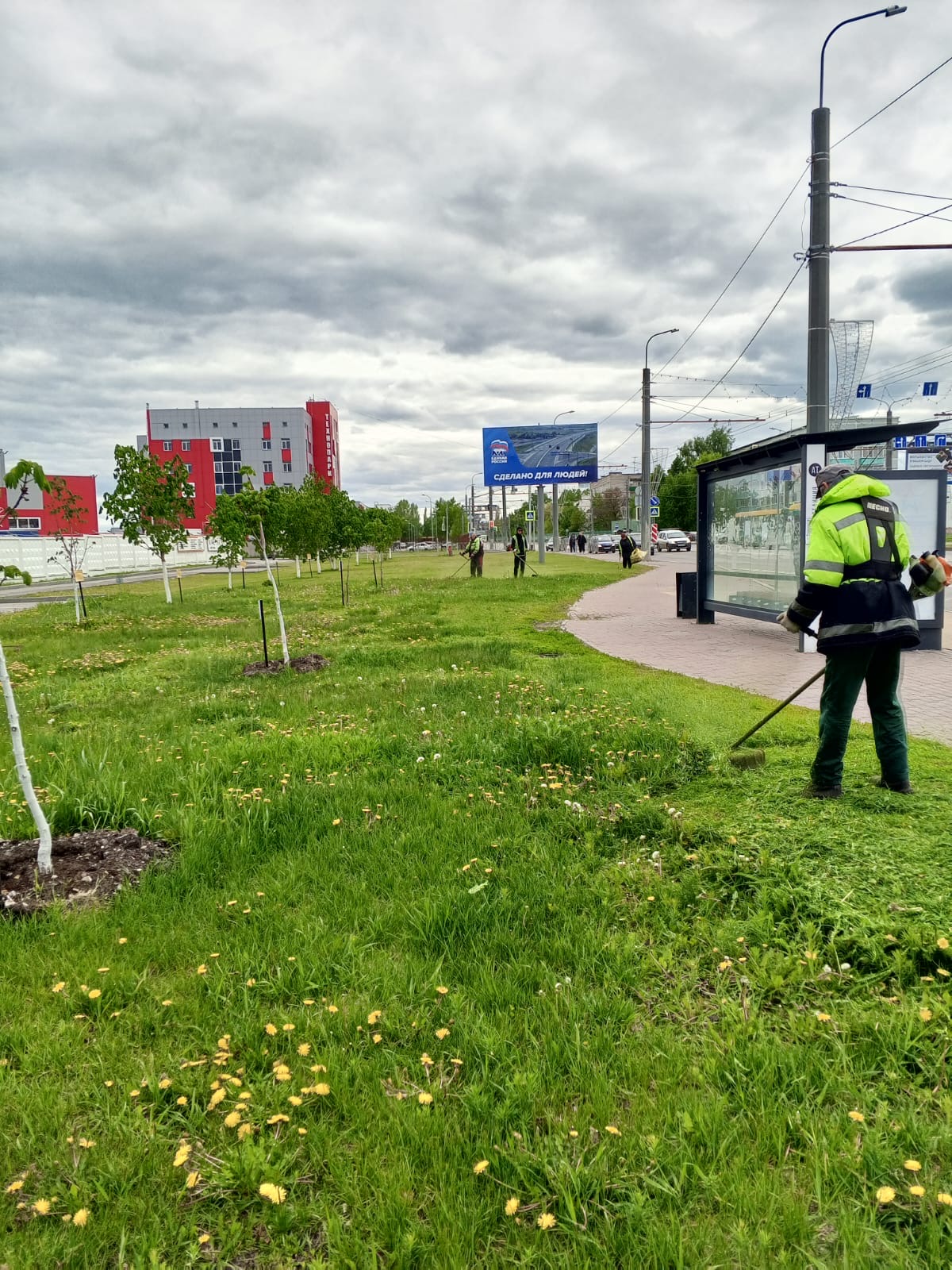 Сбор мусора, покос травы на газонах по ул. Центральной (напротив Мединж)