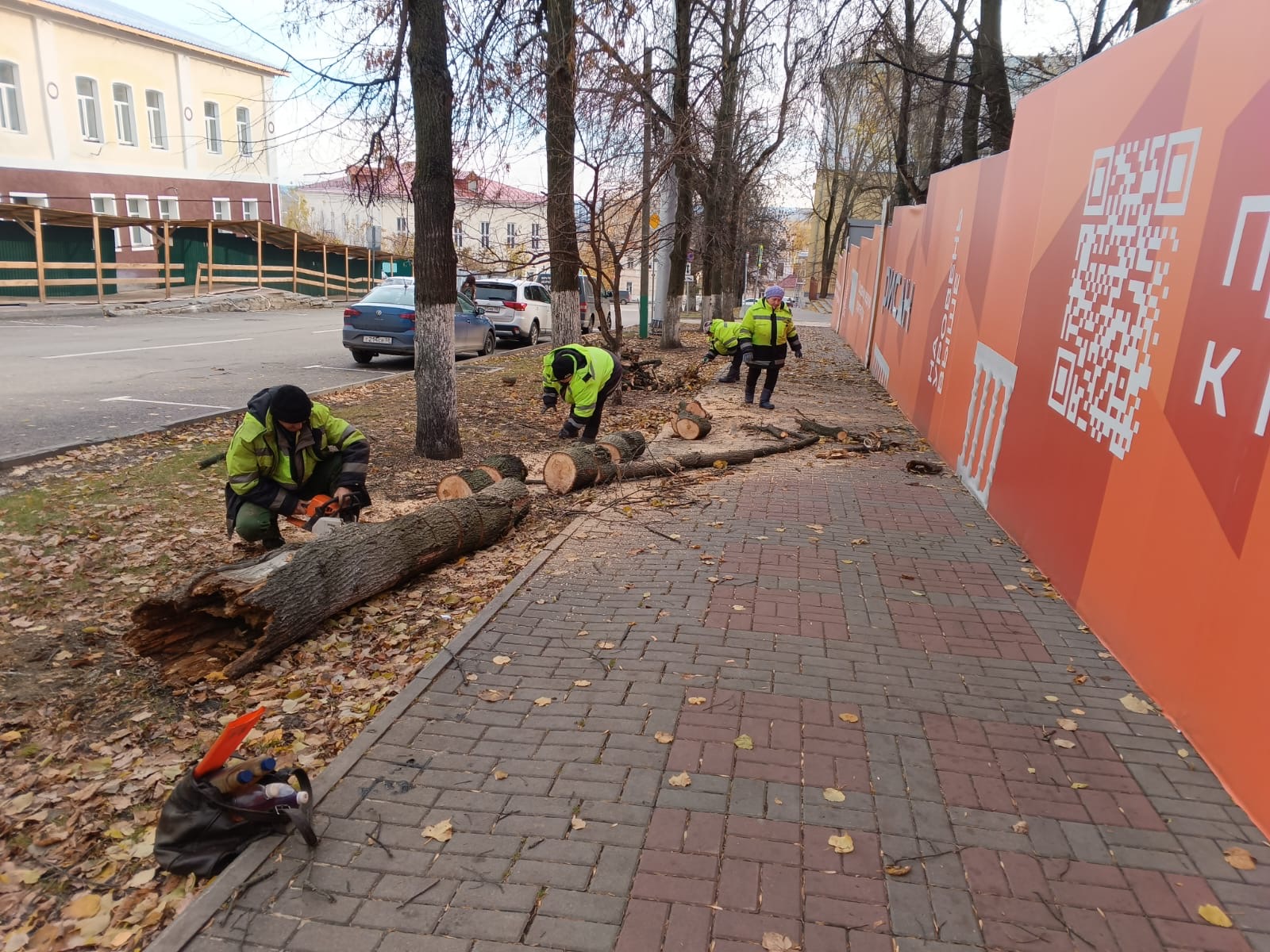 Раскряжевка упавшего дерева по ул. К. Маркса