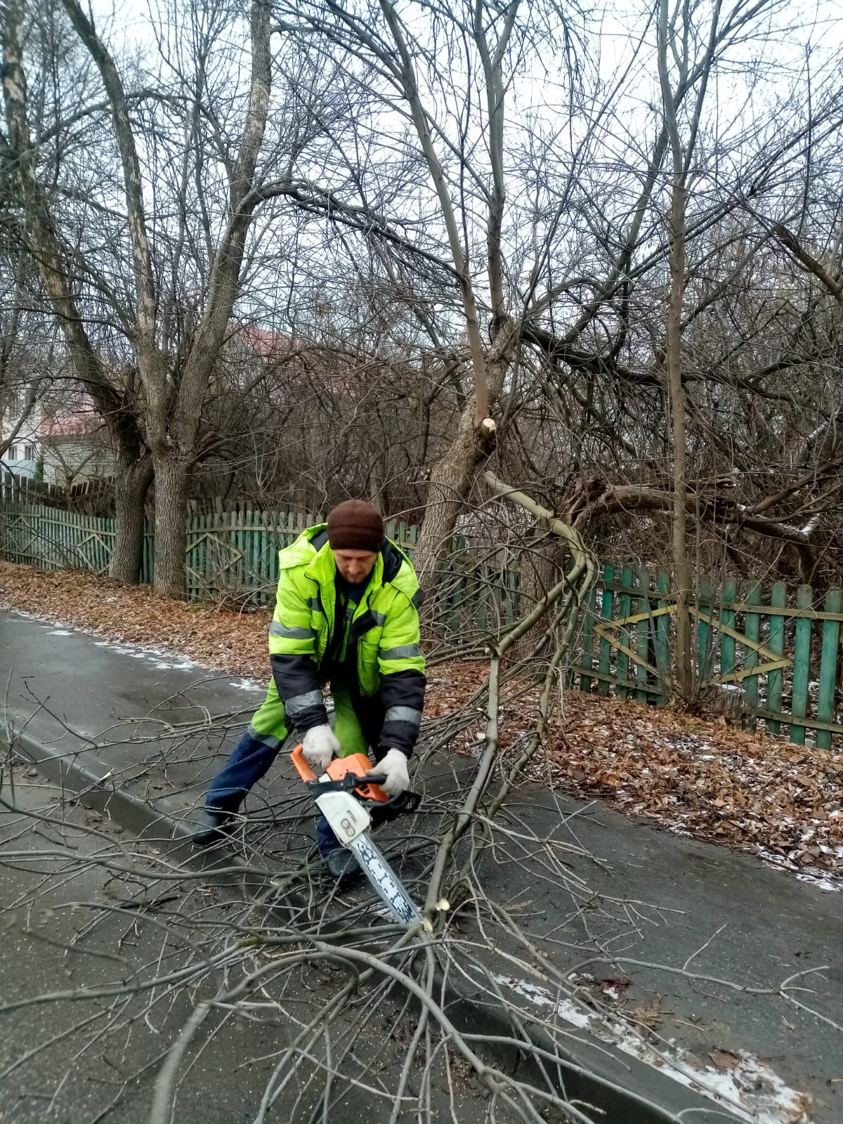 Вырезка поросли, поднятие штамб, валка деревьев ул. Подлесная