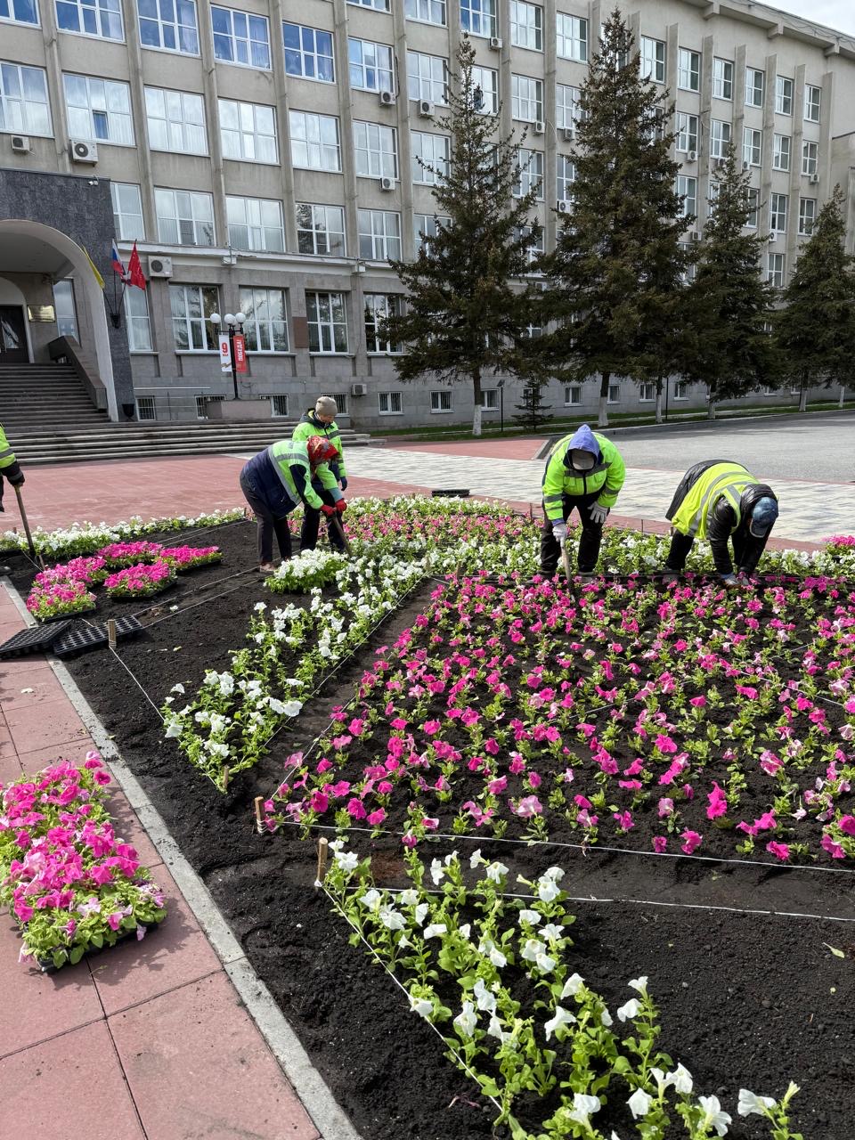 Посадка цветника в сквере у Городской Администрации