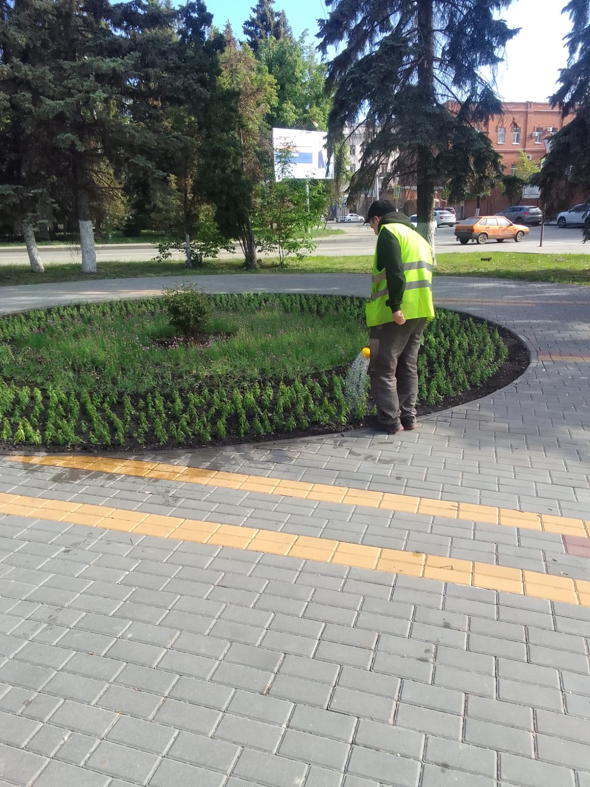 Полив цветника по ул. Московская