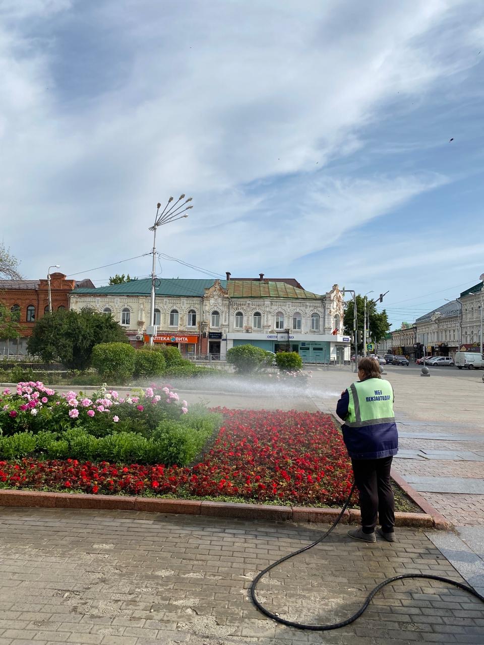 Полив цветников по ул. Московская, в сквере им. В. Г. Белинского