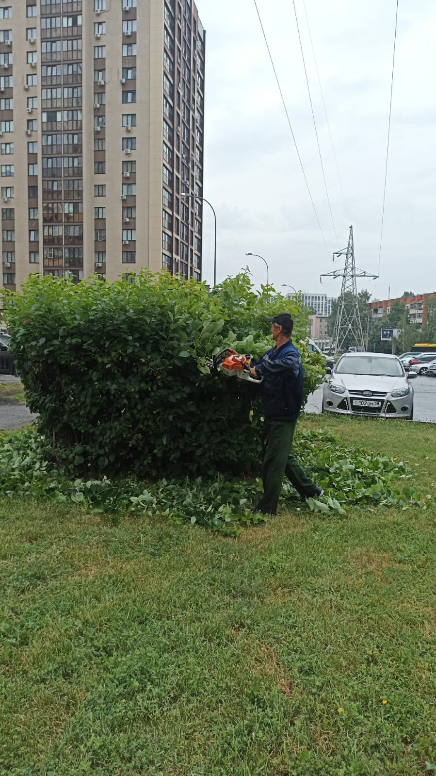 Стрижка кустарника по ул. Мира