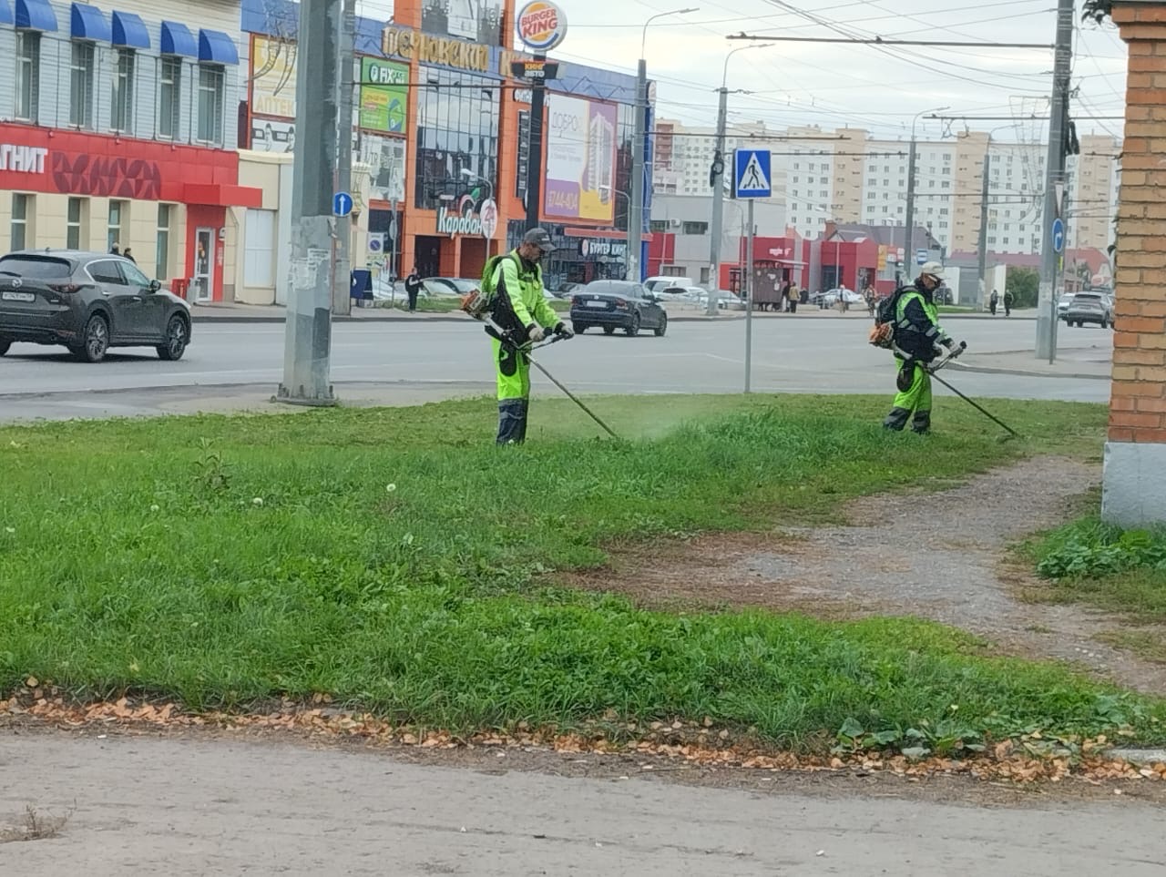 Покос травы на газонах по ул. Терновского