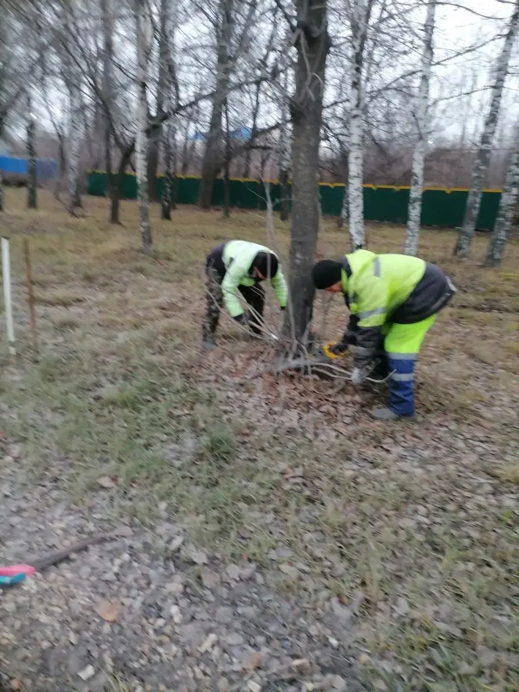 Вырезка поросли по ул. Тухачевского