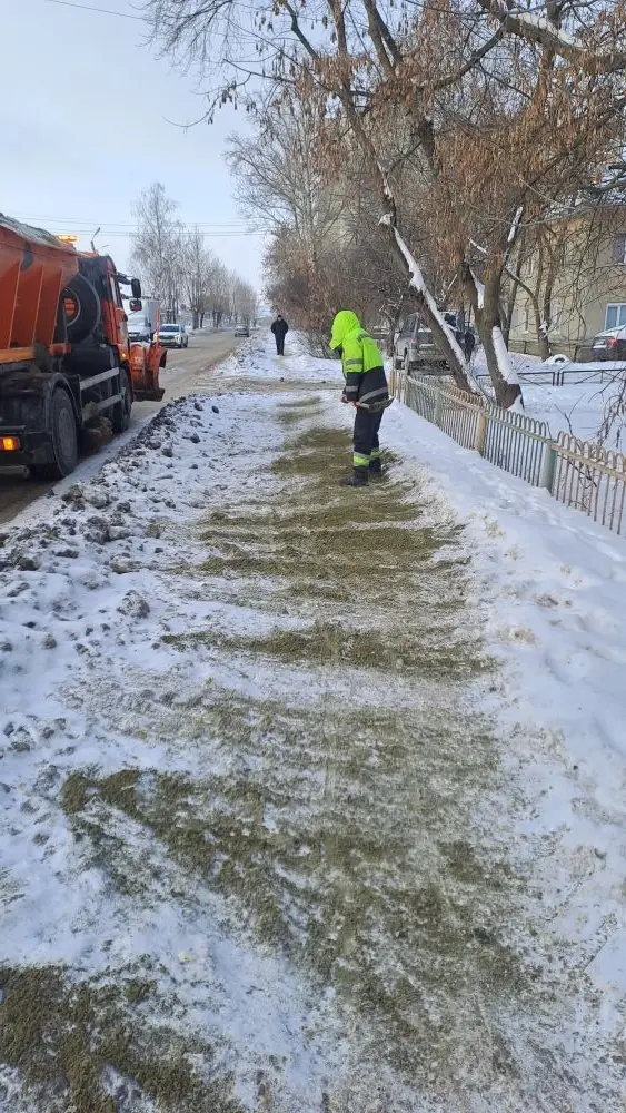 Обработка тротуара по ул. Пушанина пескосоляной смесью