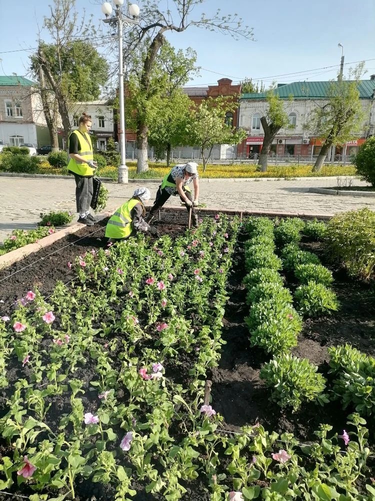 Посадка цветов в сквере им. В. Г. Белинского и на ул. Центральной