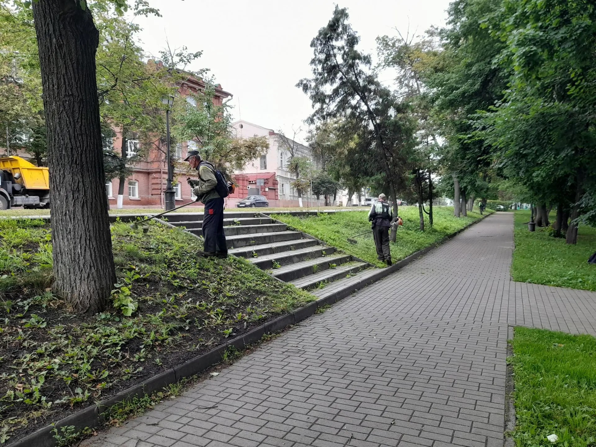 Покос травы на газоне на Соборной площади