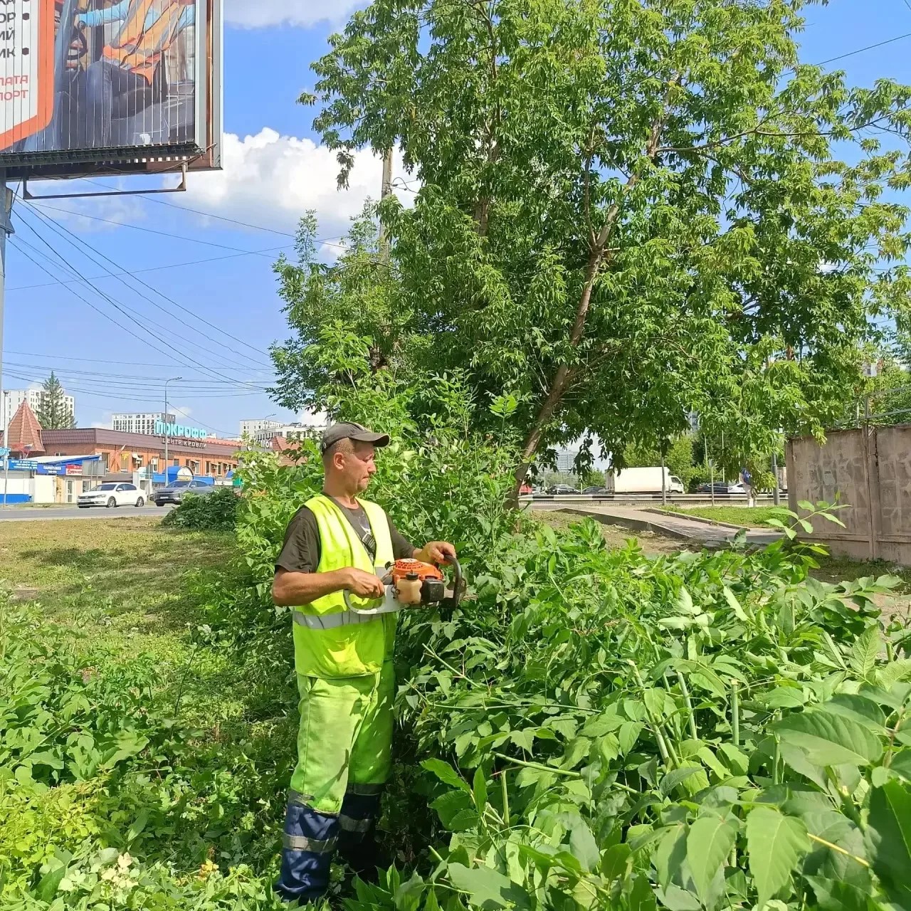 Стрижка кустарника по ул. Измайлова