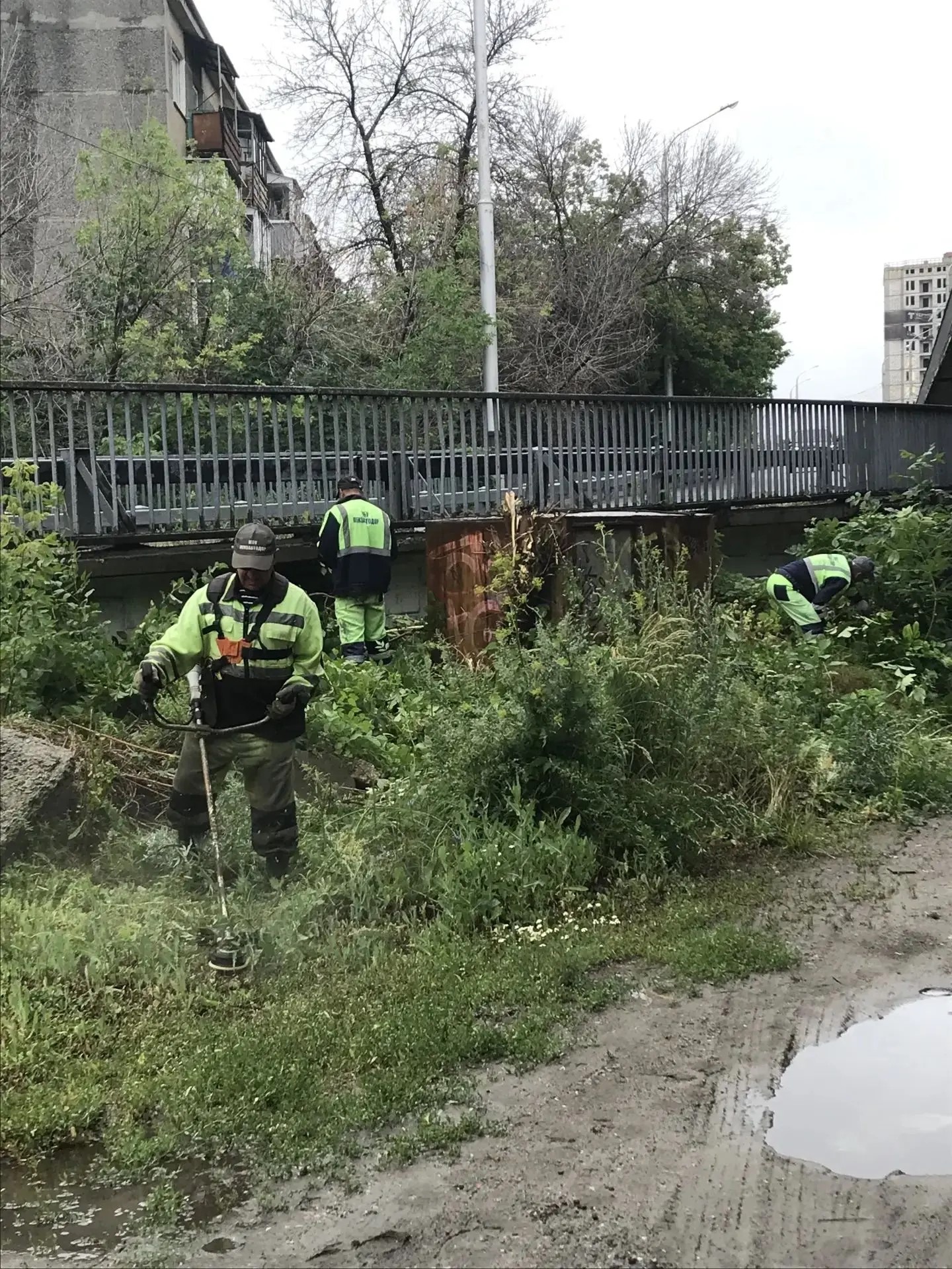Очистка подходов и подмостовой зоны путепровода по ул. Толстого от кустарника