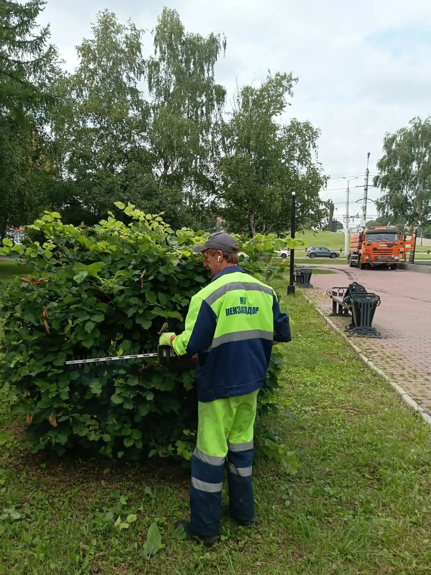 Стрижка кустарника в сквере Пионерский