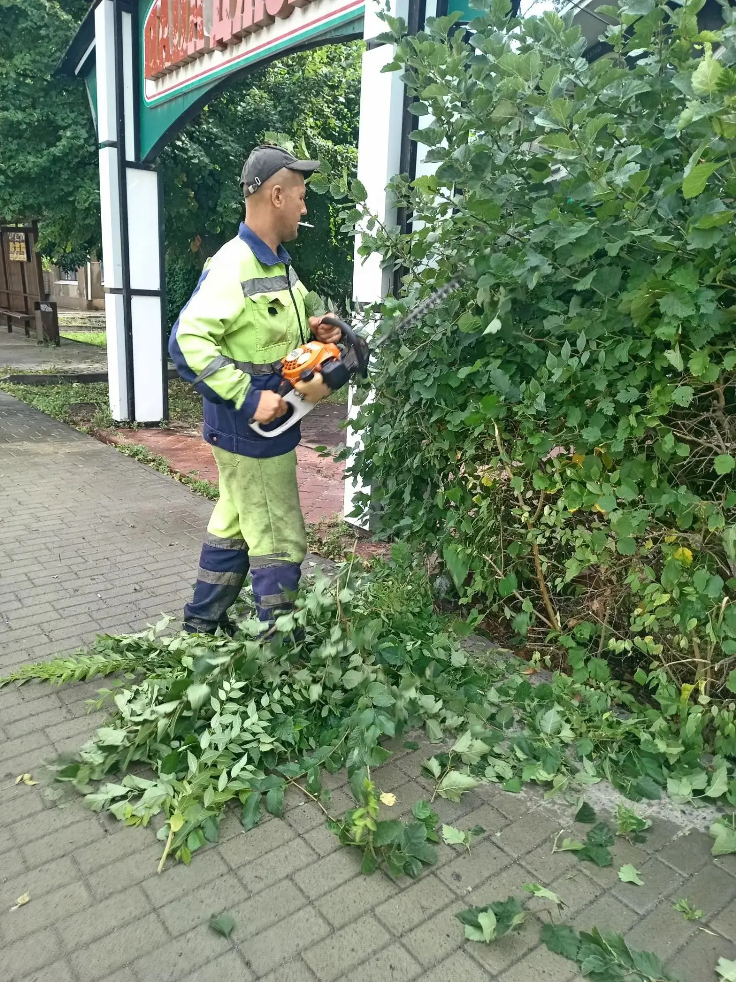 Стрижка кустарника в сквере Белинского